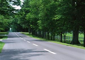 ボディカバー車用の品質について