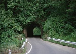 車の価値を最大化！チューニングカーの魅力と買取のポイントを徹底解説