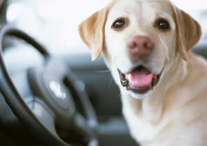 激安で全国で選ばれる車検専門チェーン店